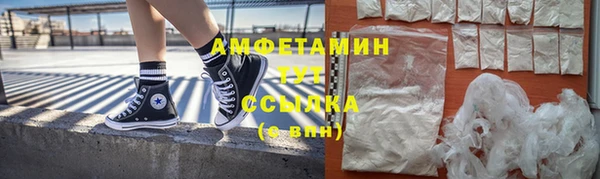 индика Беломорск
