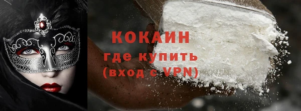индика Беломорск
