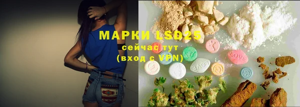 ПСИЛОЦИБИНОВЫЕ ГРИБЫ Белокуриха