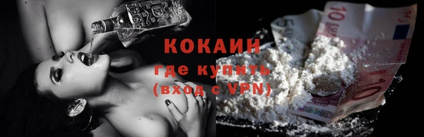 ПСИЛОЦИБИНОВЫЕ ГРИБЫ Белокуриха