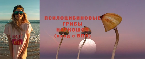 ПСИЛОЦИБИНОВЫЕ ГРИБЫ Белокуриха
