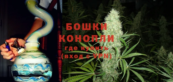 индика Беломорск
