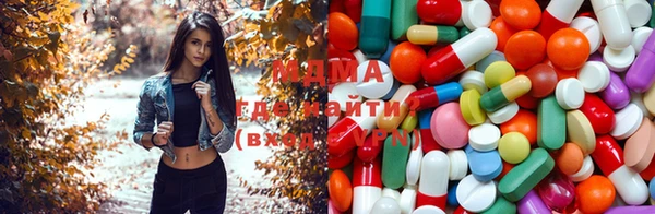 индика Беломорск