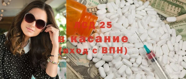 индика Беломорск