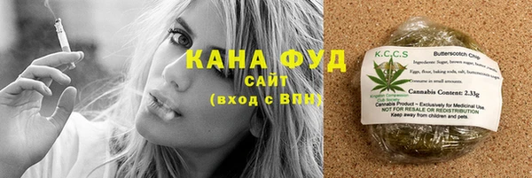 индика Беломорск