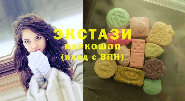 индика Беломорск
